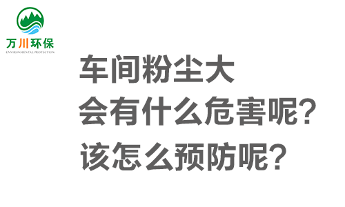 車間粉塵大會(huì)有什么危害呢？該怎么預(yù)防呢？